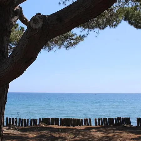 Villa Bord De Mer, Pieds Dans L'eau, Vue Panoramique San-Nicolao