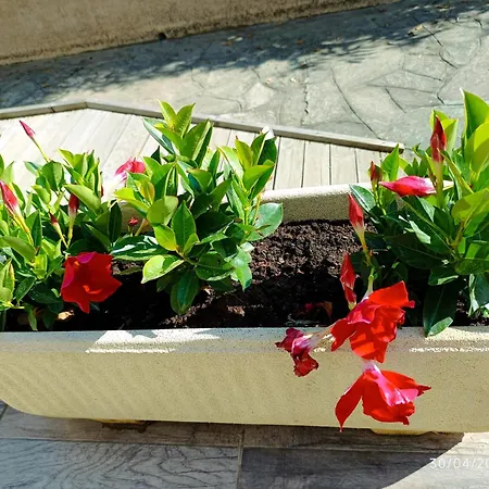 Bord De Mer, Pieds Dans L'eau, Vue Panoramique Villa San-Nicolao