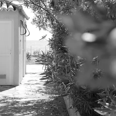 Bord De Mer, Pieds Dans L'eau, Vue Panoramique Villa