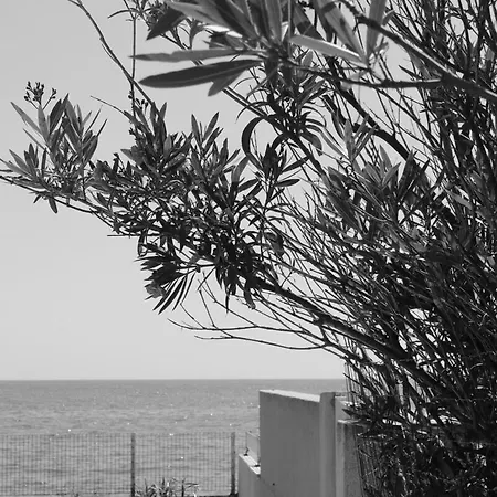 Bord De Mer, Pieds Dans L'eau, Vue Panoramique *