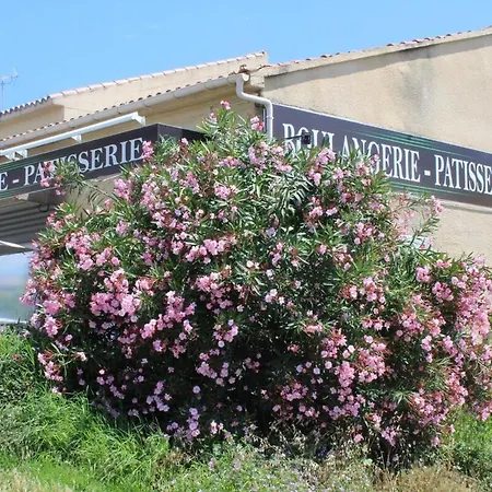 Bord De Mer, Pieds Dans L'eau, Vue Panoramique *