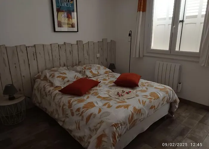 Bord De Mer, Pieds Dans L'eau, Vue Panoramique 圣尼科劳