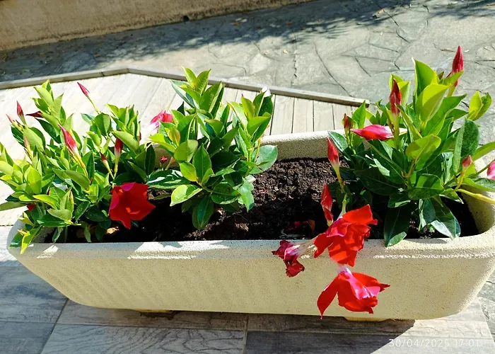 Bord De Mer, Pieds Dans L'eau, Vue Panoramique 别墅 圣尼科劳